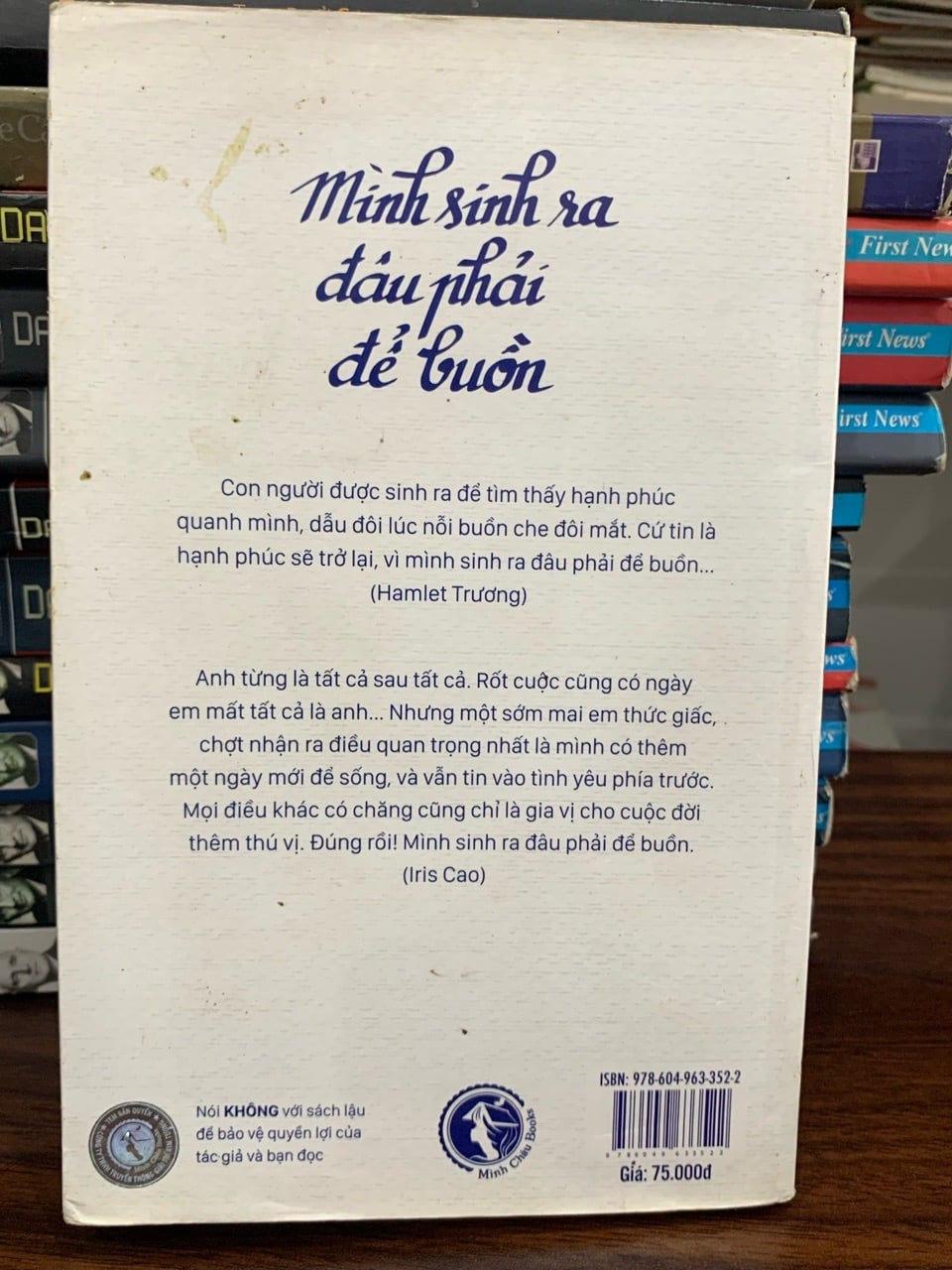 Mình sinh ra đâu phải để buồn- Iris Cao, Hamlet Hương