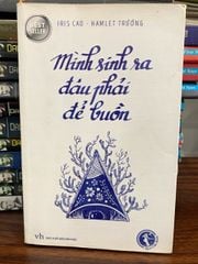 Mình sinh ra đâu phải để buồn- Iris Cao, Hamlet Hương - ảnh 2