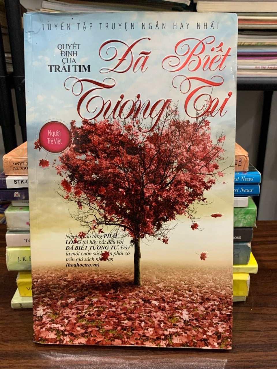 Đã biết tương tư — Tuyển tập truyện ngắn hay nhất