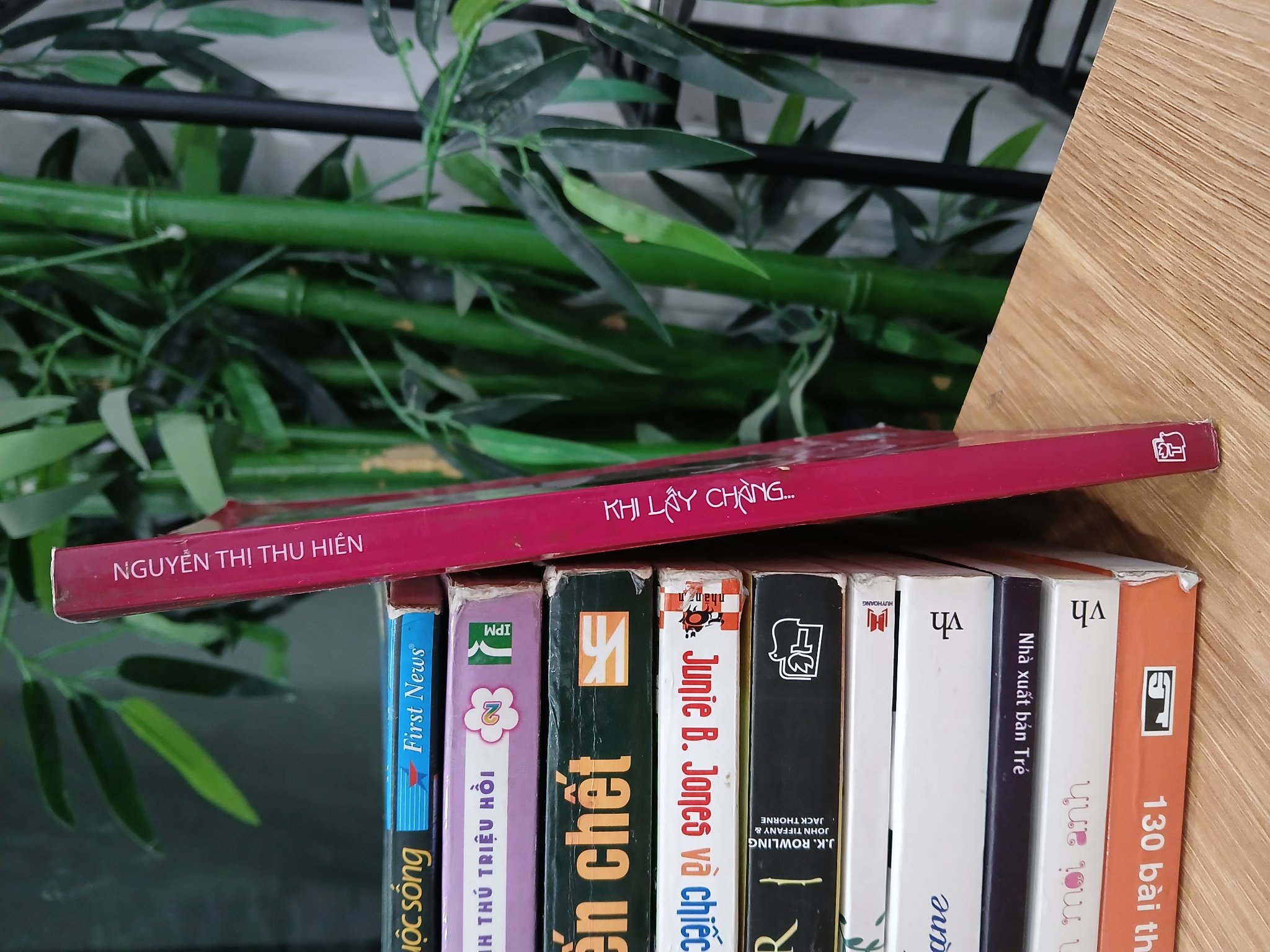 Khi lấy chàng… (Nhật ký của cô dâu trẻ) – Nguyễn Thị Thu Hiền