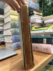 Lịch sử văn học Việt Nam - Tập 1 (Từ khởi thủy đến thế kỷ X) - ảnh 5