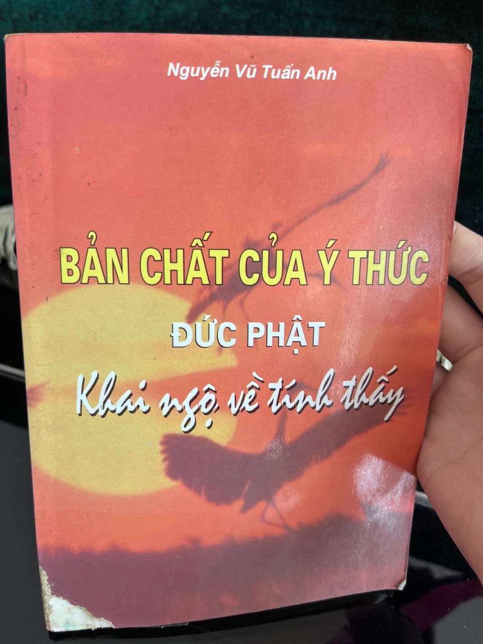 Bản Chất Của Ý Thức - Đức Phật Khai Ngộ Về Tính Thấy - Nguyễn Vũ Tuấn Anh