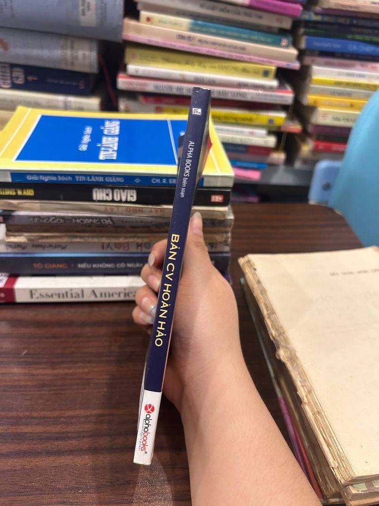 Bản CV Hoàn Hảo - Alpha Books - Alpha Books biên soạn - Ảnh thực tế 5
