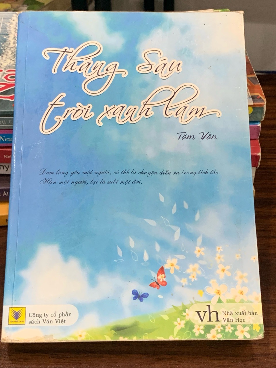 Tháng Sáu trời xanh lam – Tâm Văn