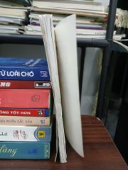 1 nụ cười bằng 10 thang thuốc bổ – Trần Trường Minh - ảnh 4
