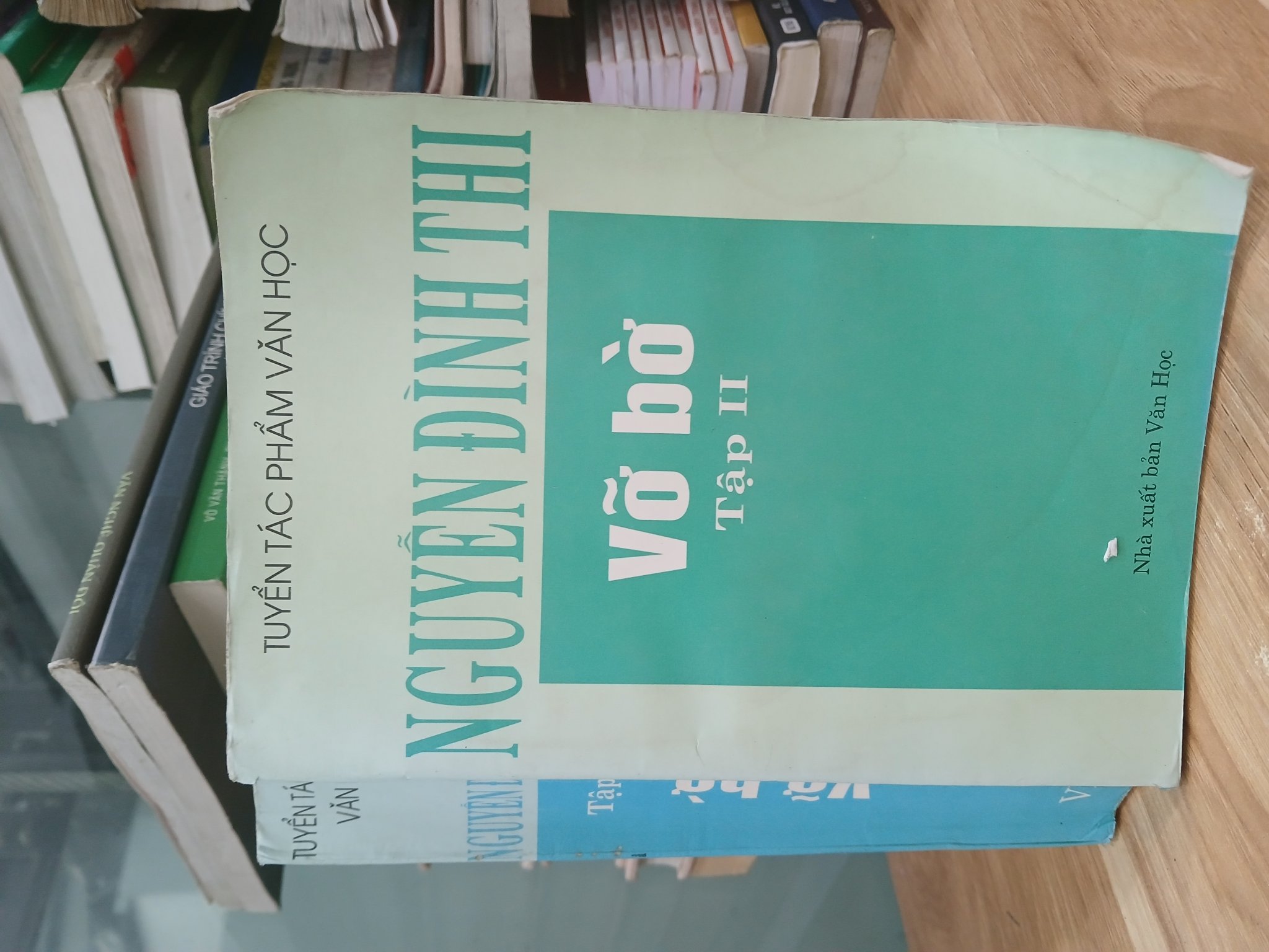 Vỡ bờ (Tập II) — Nguyễn Đình Thi