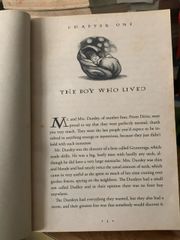 Harry Potter và Hòn đá Phù thủy (Tập 1) - ảnh 5