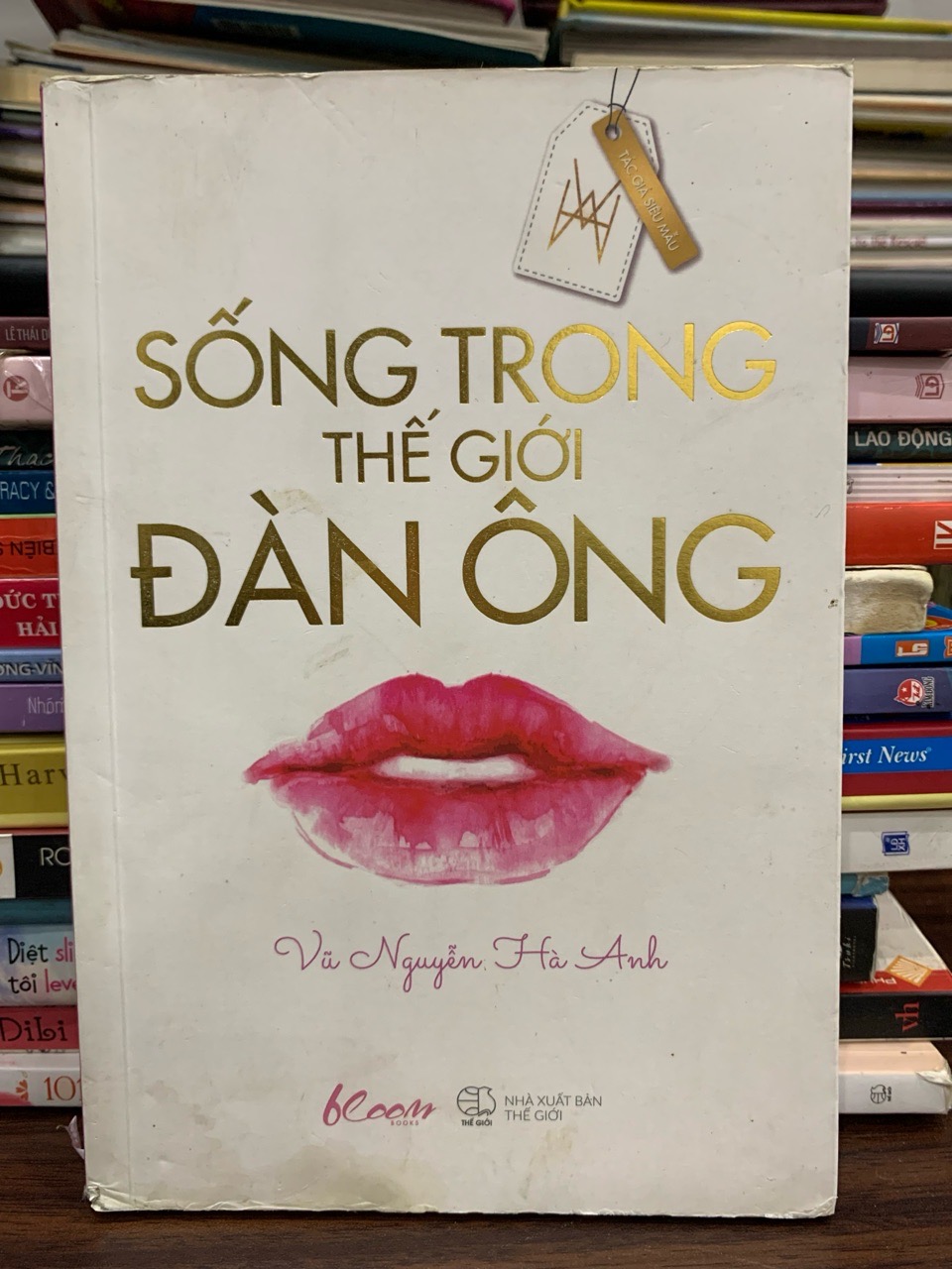 Sống trong thế giới đàn ông – Vũ Nguyễn Hà Anh