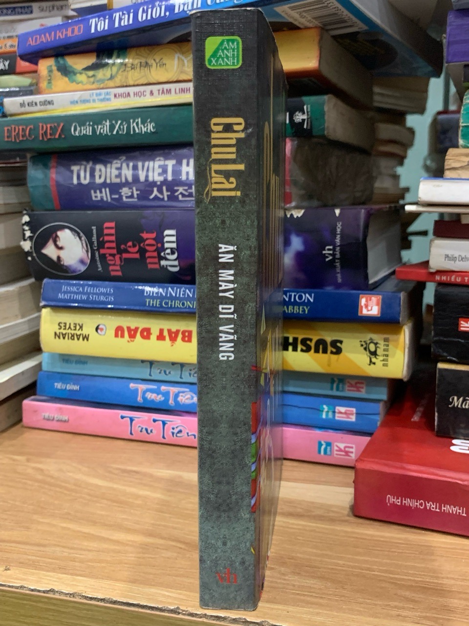 Ăn mày dĩ vãng-Chu Lai