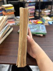 Bí mật về Huyền Trân Công Chúa - Việt Linh - ảnh 5
