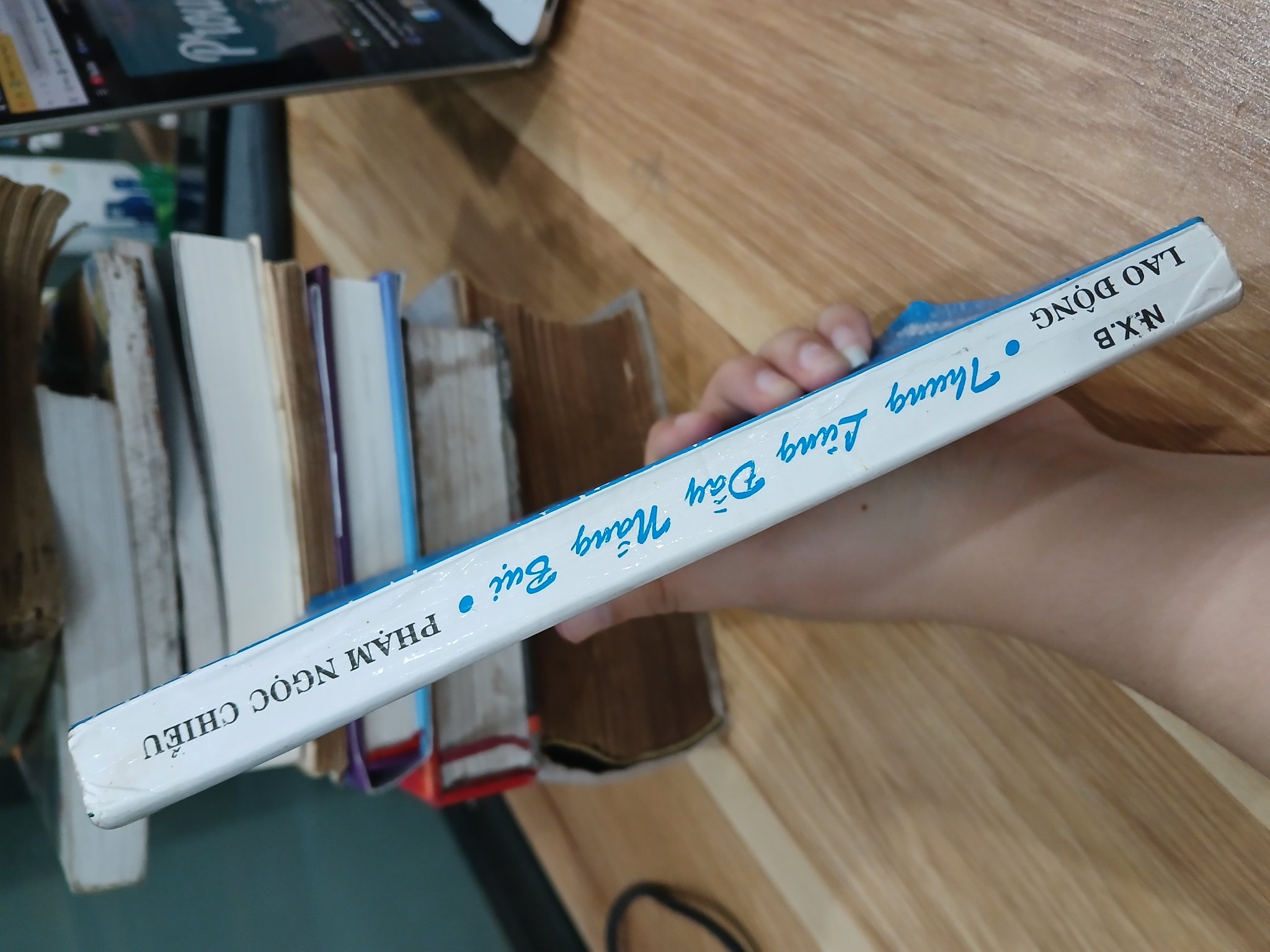 Thung Lũng Đầy Nắng Bụi- Phạm Ngọc Chiểu