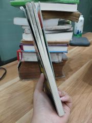 Những tâm hồn lạc- hạt giống tâm hồn- nhiều tác giả - ảnh 4