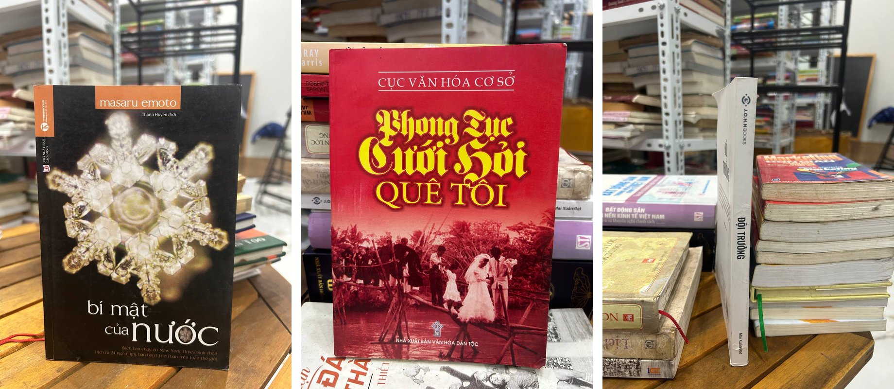 Các sách của Mai Xuân Đạt