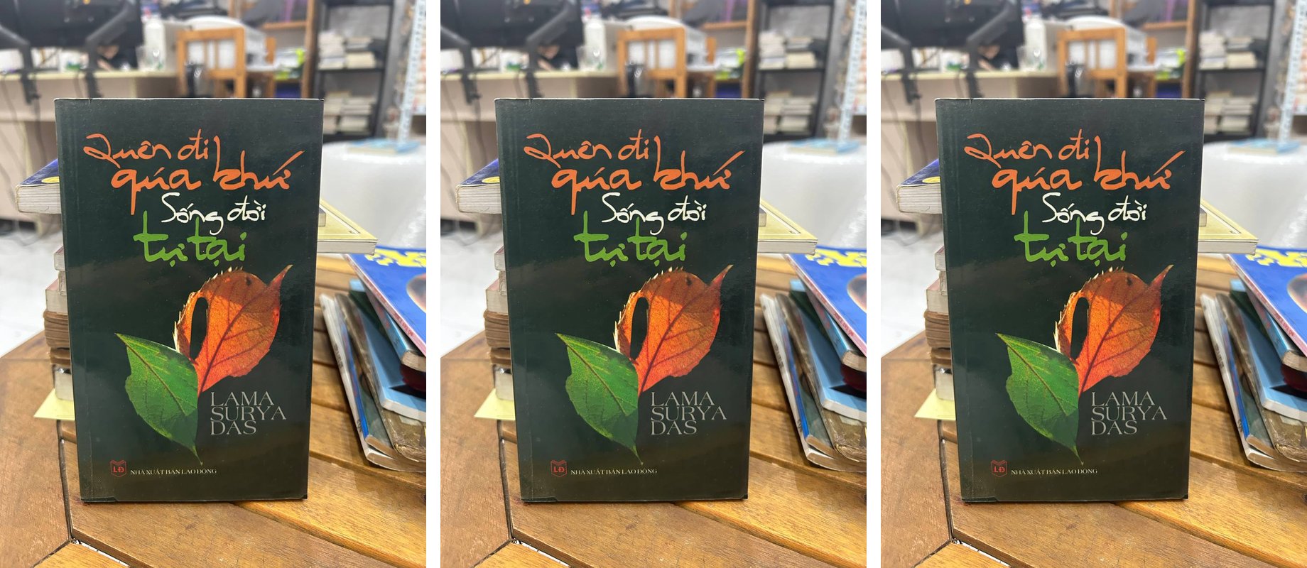 Các Tác Phẩm Của Lama Surya Das