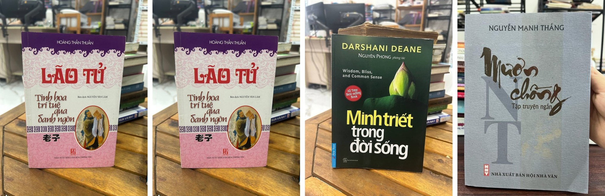 Các tác phẩm của Nguyễn Mạnh Thắng