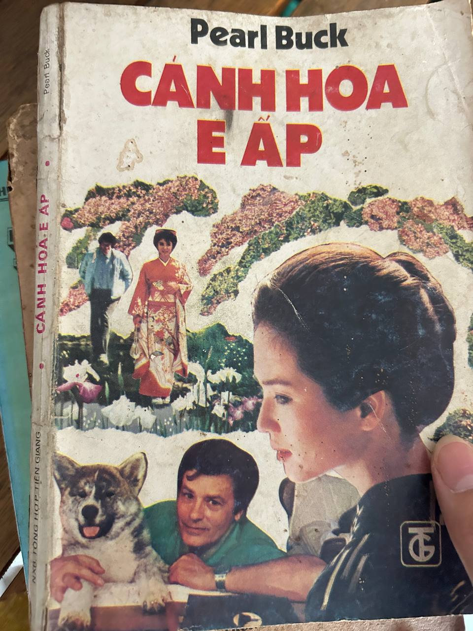 Review và ảnh thực tế sách Cánh Hoa E Áp của Pearl Buck tại Mecobooks.com