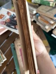Cánh Hoa E Áp của Pearl Buck - ảnh 4