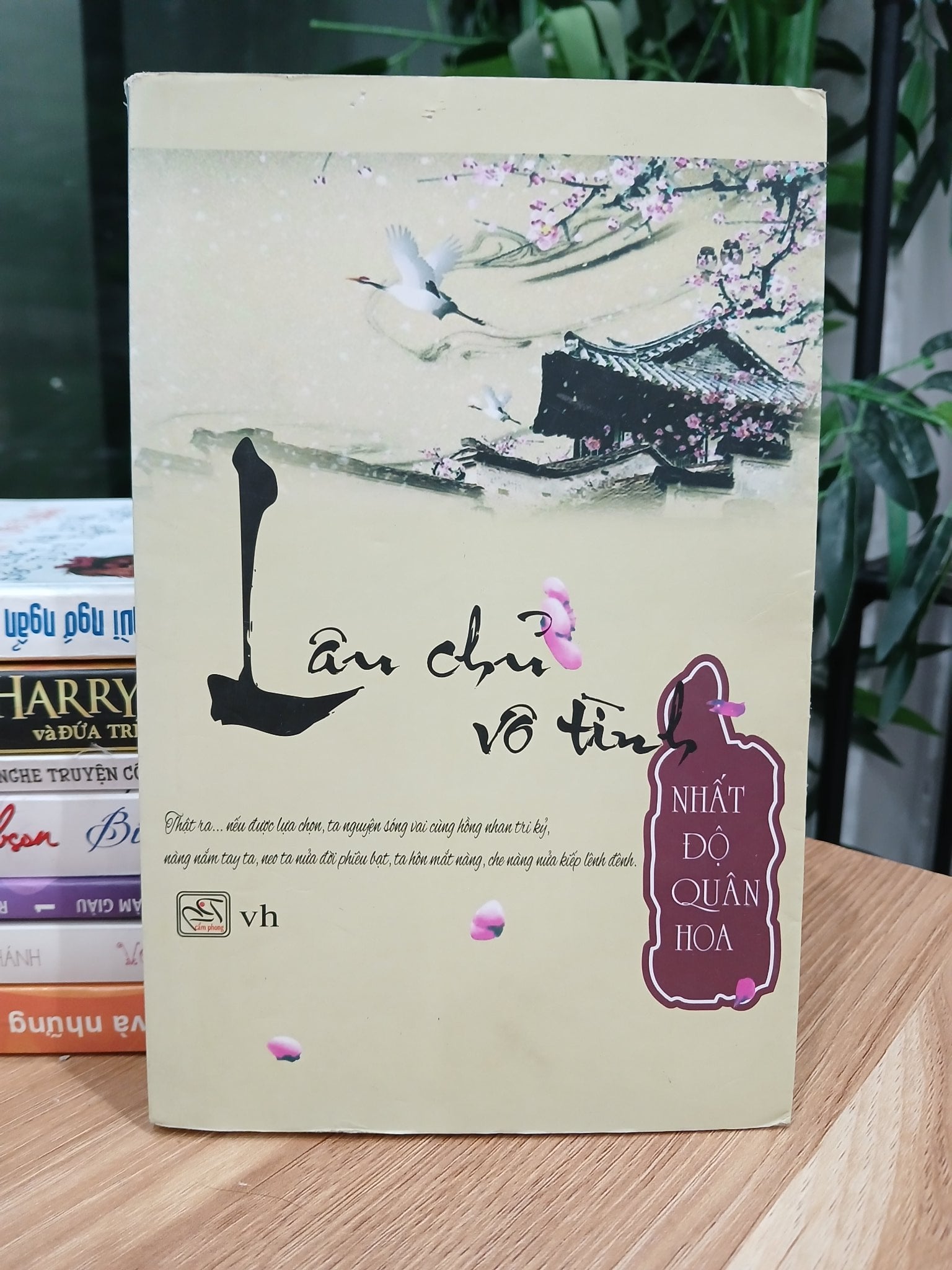 Lâu chủ vô tình -- Thế hậu tướng quân – ( Nhất Độ Quân Hoa )