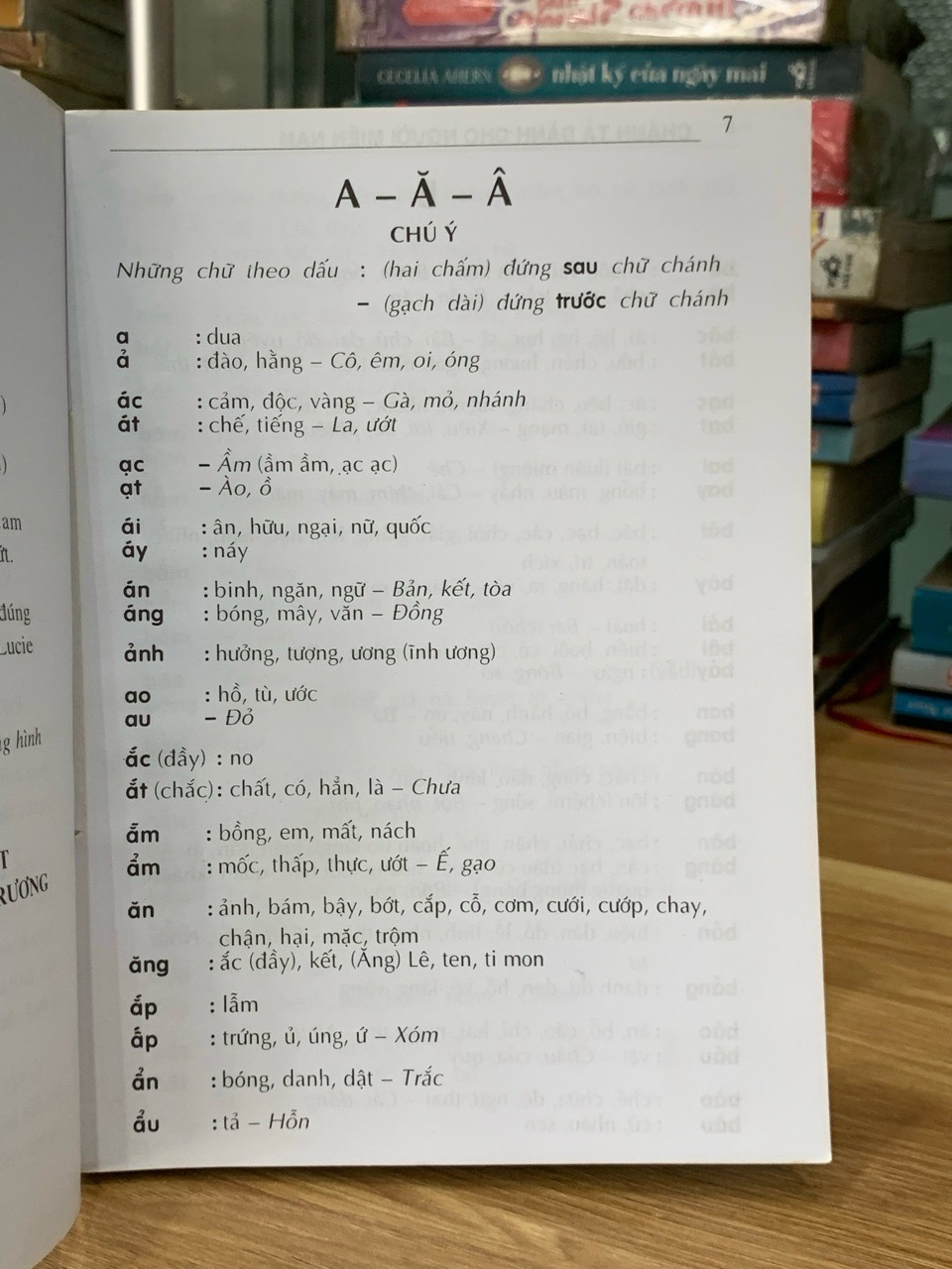 Chánh tả dành cho người miền nam