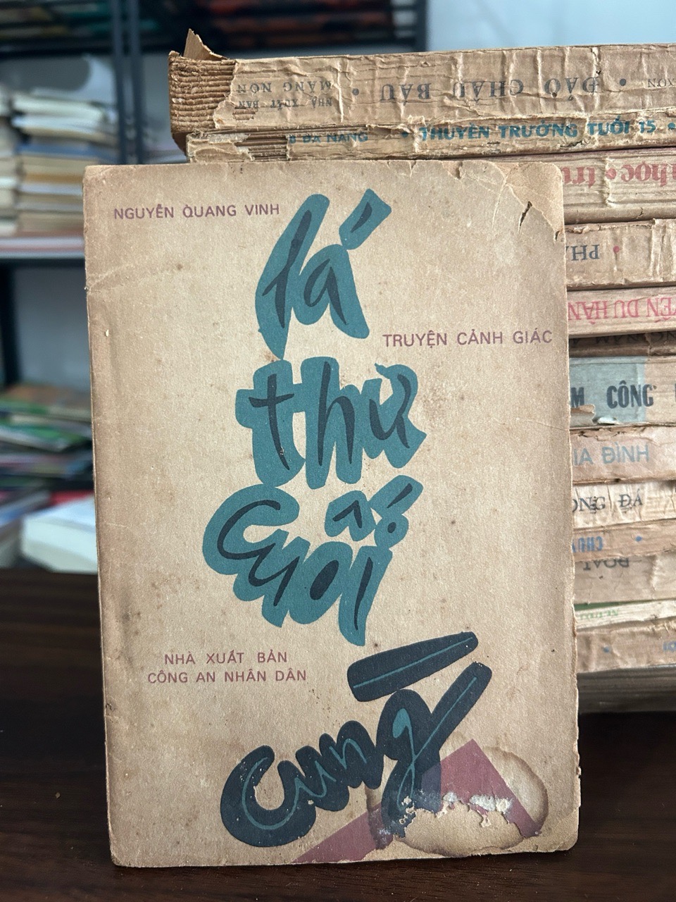 Lá thư cuối -Nguyễn Quang Vinh