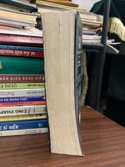 Thế giới phẳng – Tóm lược lịch sử Thế giới Thế kỷ 21 (The World Is Flat) — Thomas L. Friedman - ảnh 3