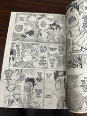 DR. Stone 2- Riichiro Inagaki boichi - ảnh 2