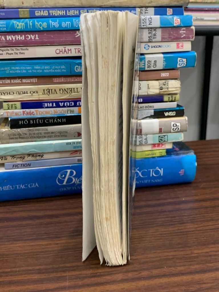 Đòng đưa sự đời — Hoàng Ngọc Sơn - Ảnh thực tế 3