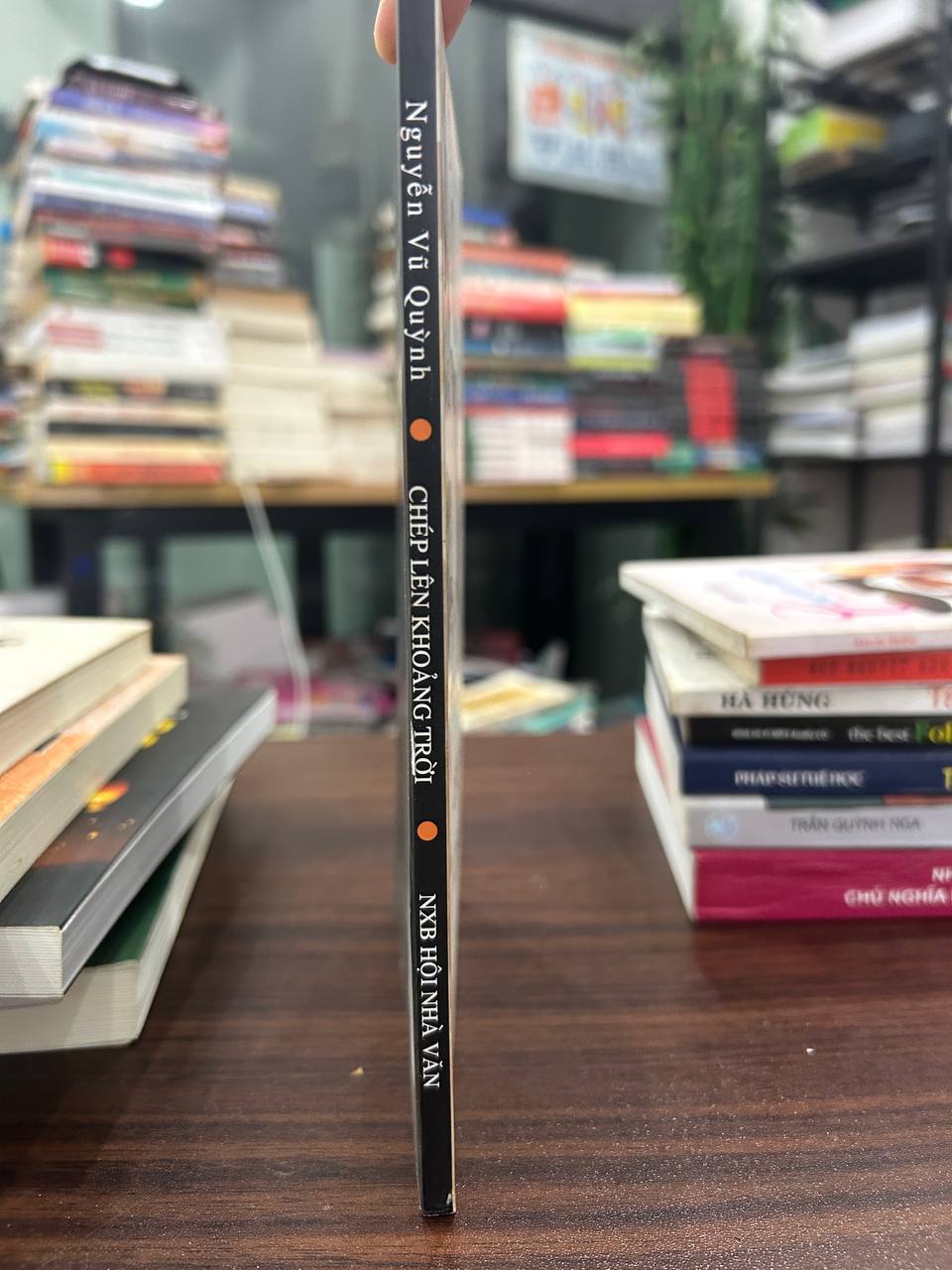 Chép Lên Khoảng Trời - Nguyễn Vũ Quỳnh - Nguyễn Vũ Quỳnh