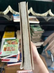 Chuyện tình một đêm - Chi Xuyên - ảnh 4