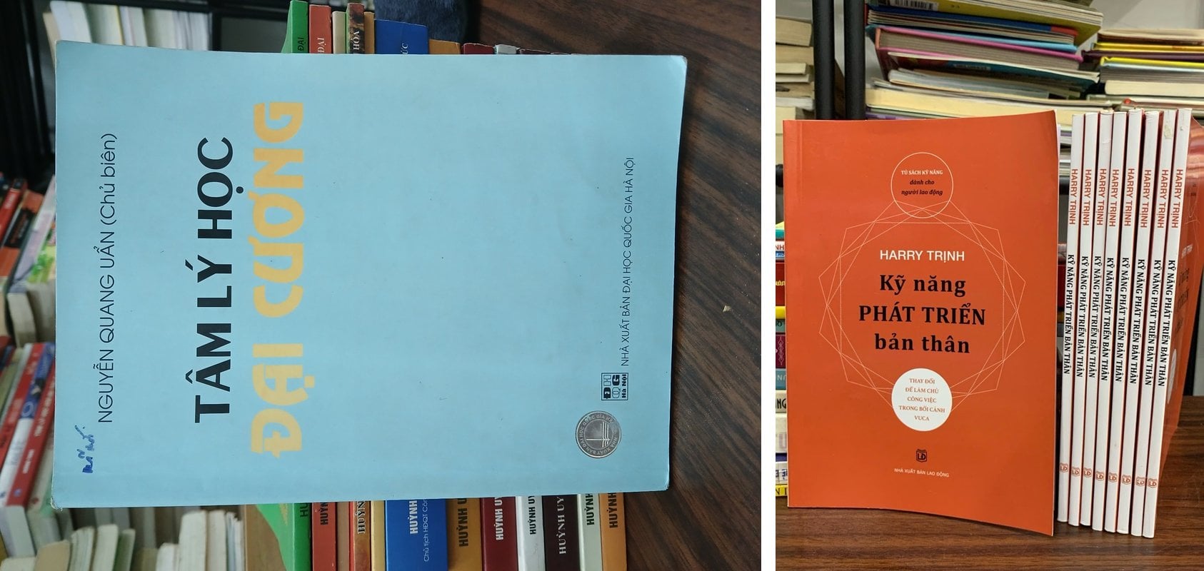 Tâm lý học đại cương + Kỹ năng phát triển bản thân —