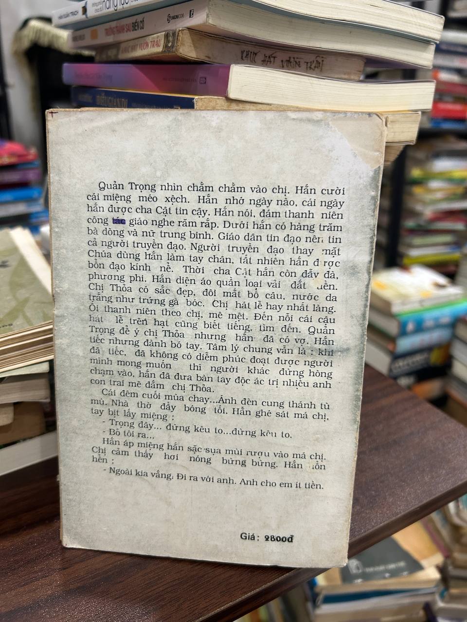 Con Đức Mẹ - Lữ Giang