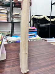 Đoạn Tuyệt - Nhất Linh - ảnh 2