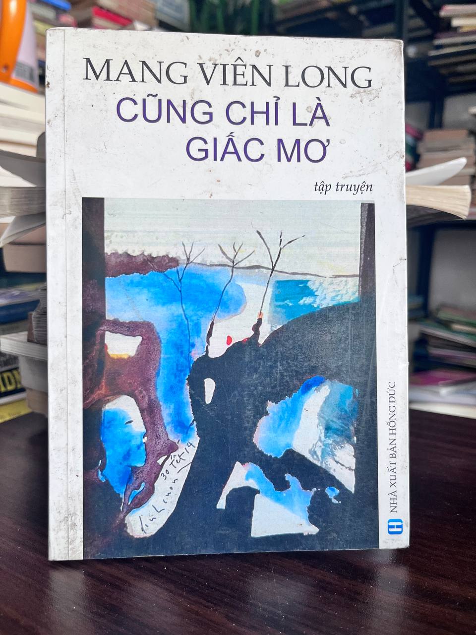 Mang Viên Long Cũng Chỉ Là Giấc Mơ - Không rõ