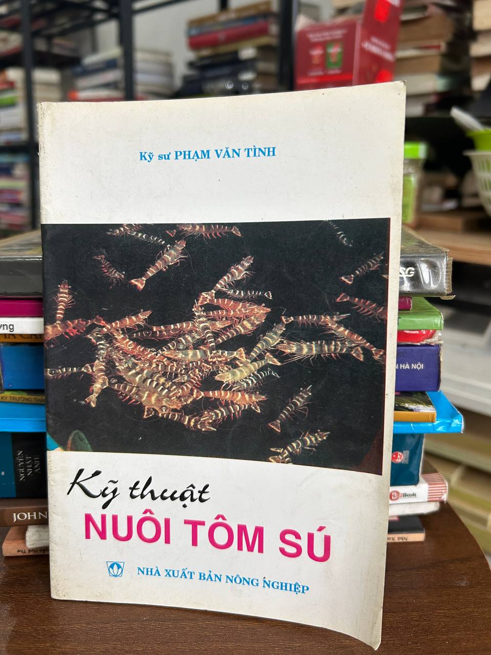 Kỹ Thuật Nuôi Tôm Sú - Kỹ sư Phạm Văn Tình