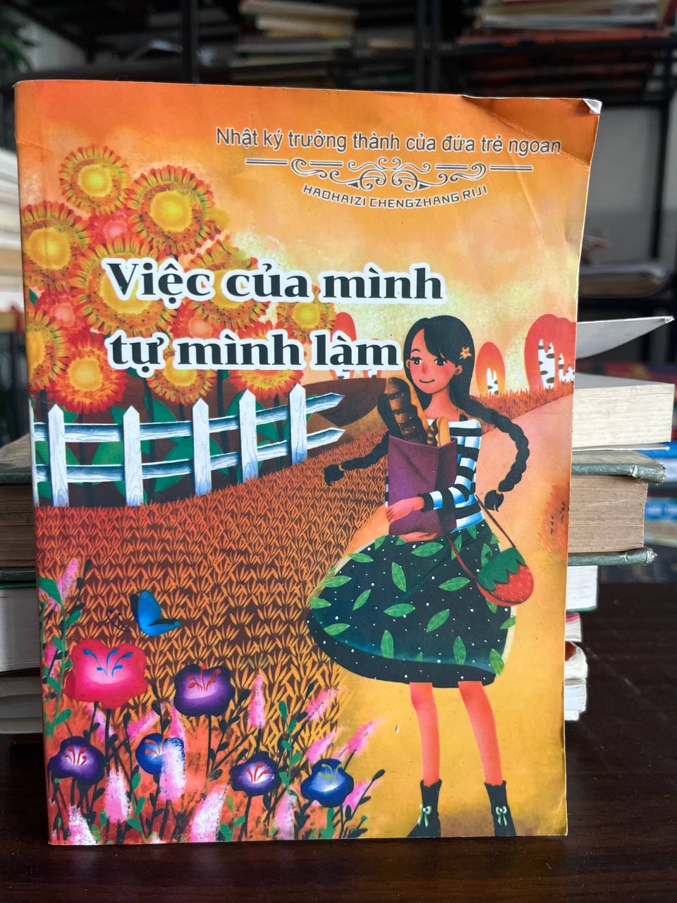 Việc của mình tự mình làm - Không rõ (Tên tiếng Trung: HAOHAIZI CHENGZHANG RIJI)