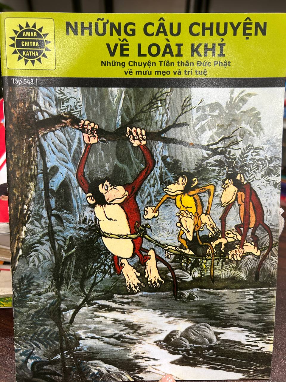 NHỮNG CÂU CHUYỆN VỀ LOÀI KHỈ - AMAR CHITRA KATHA