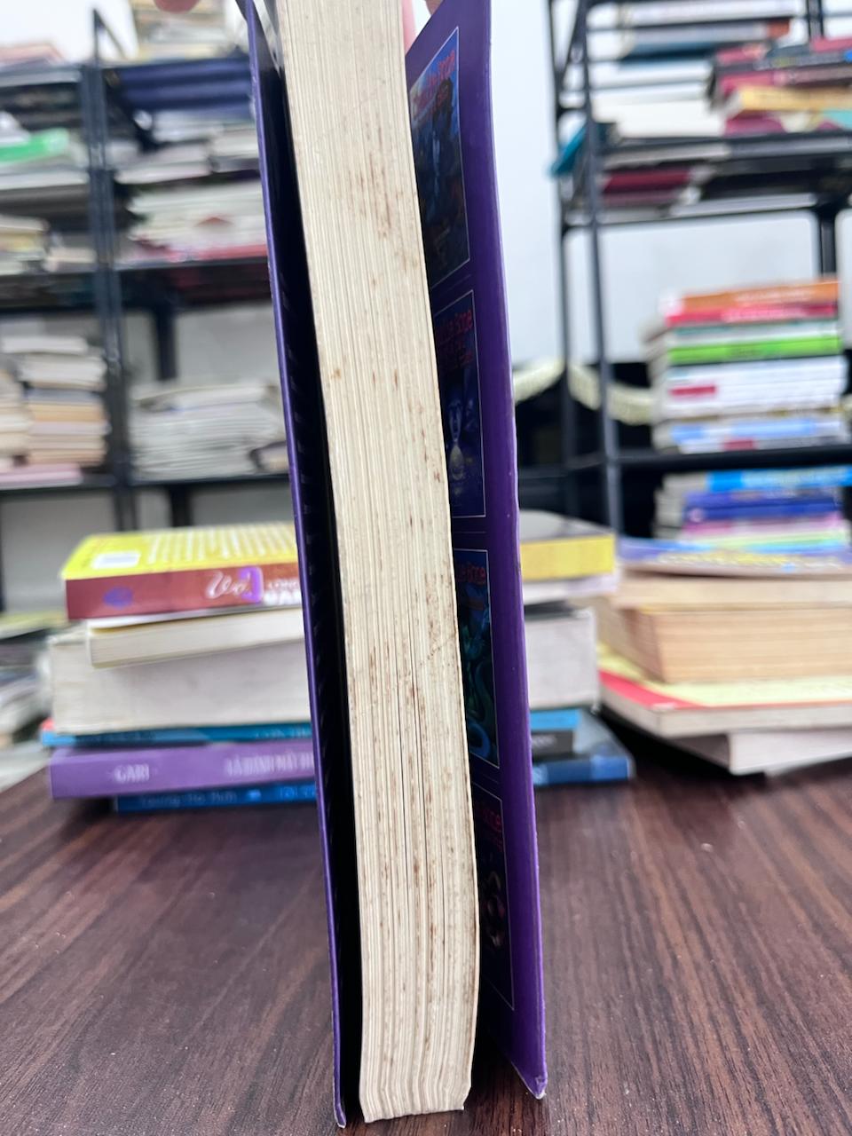 Charlie Bon và lâu đài gương