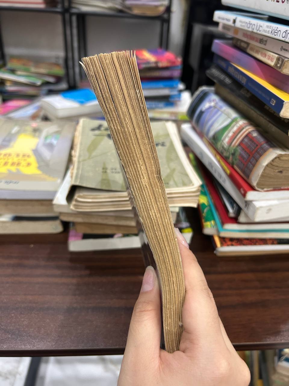 Con Đức Mẹ - Lữ Giang