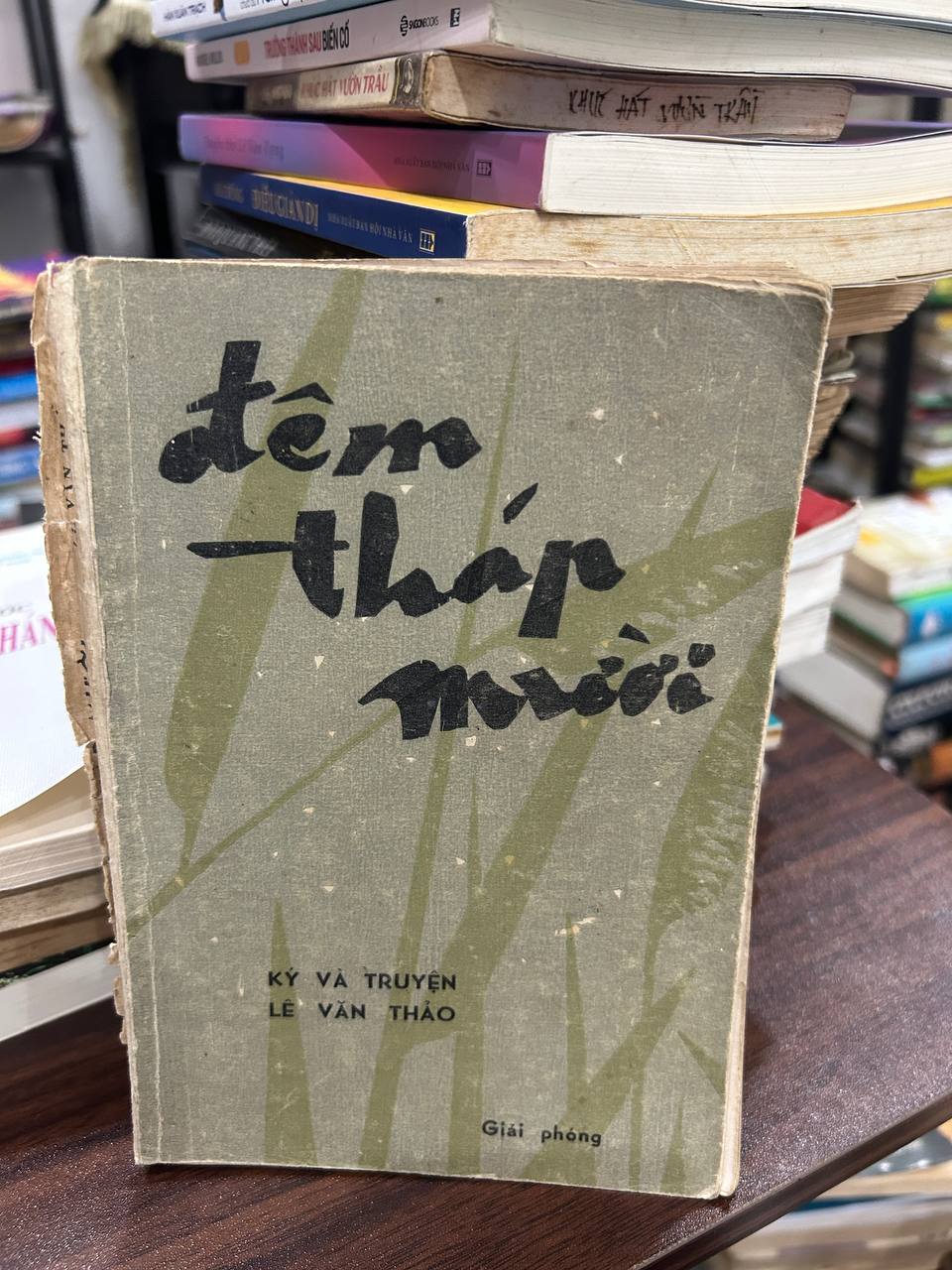 Đêm Tháp Mười - Lê Văn Thảo