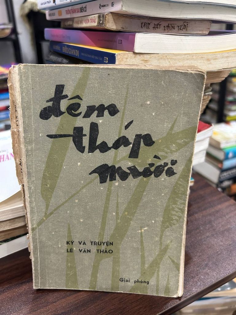 Đêm Tháp Mười - Lê Văn Thảo