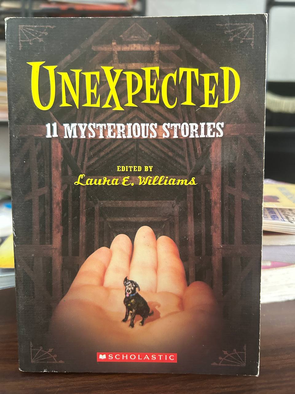 Unexpected: 11 Mysterious Stories - Laura E. Williams