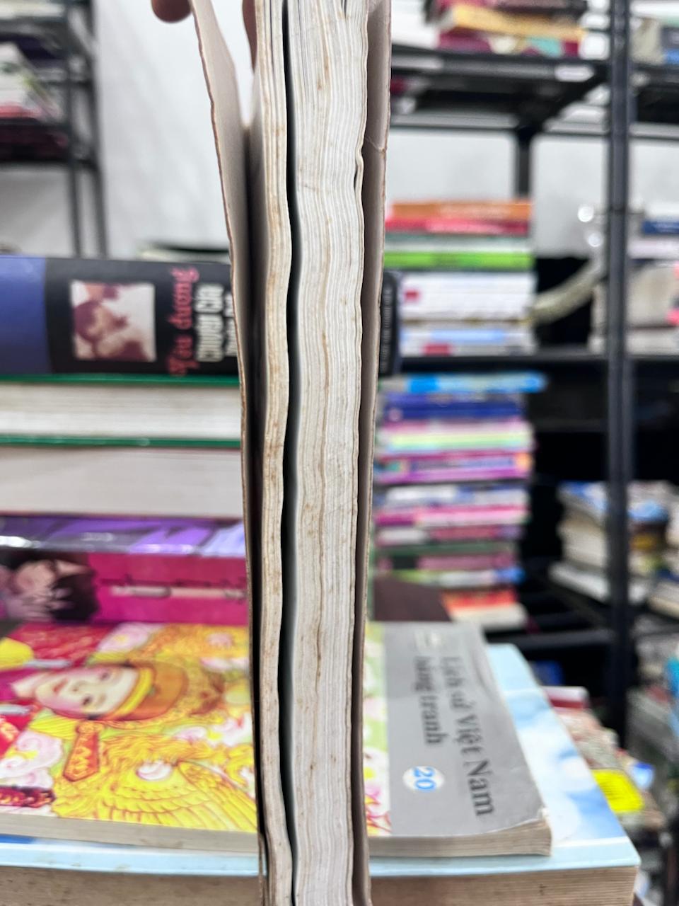 Lịch Sử Việt Nam - Những trang đoạn trường - Nhiều tác giả