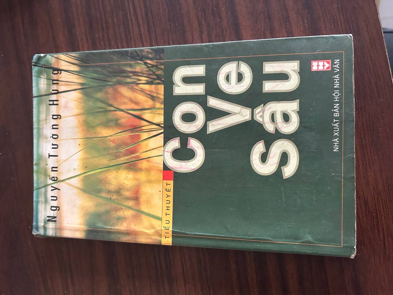 Con Vẻ Sau - Nguyễn Tường Hùng