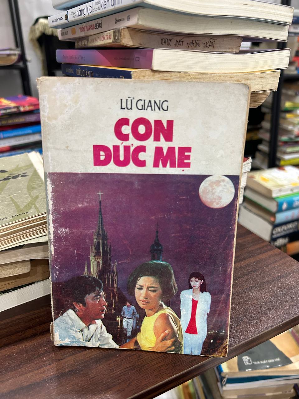 Con Đức Mẹ - Lữ Giang