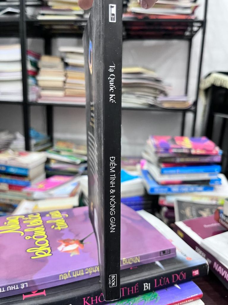 Điềm Tĩnh & Nóng Giận - Tạ Quốc Kể - Ảnh thực tế 4