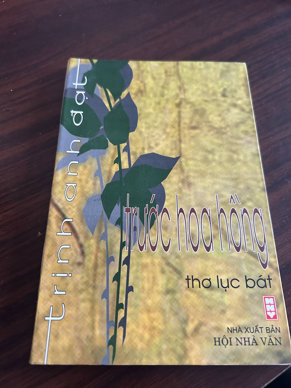 Trước hoa hồng - Trịnh Anh Đạt