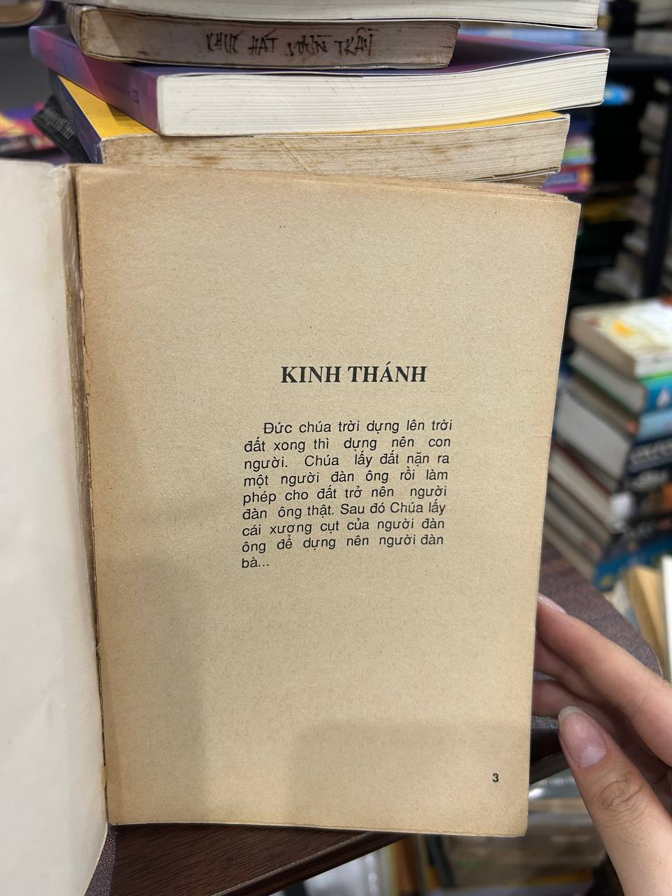 Con Đức Mẹ - Lữ Giang