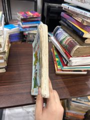 Những Câu Hỏi Lý Thú - Không có thông tin - ảnh 5