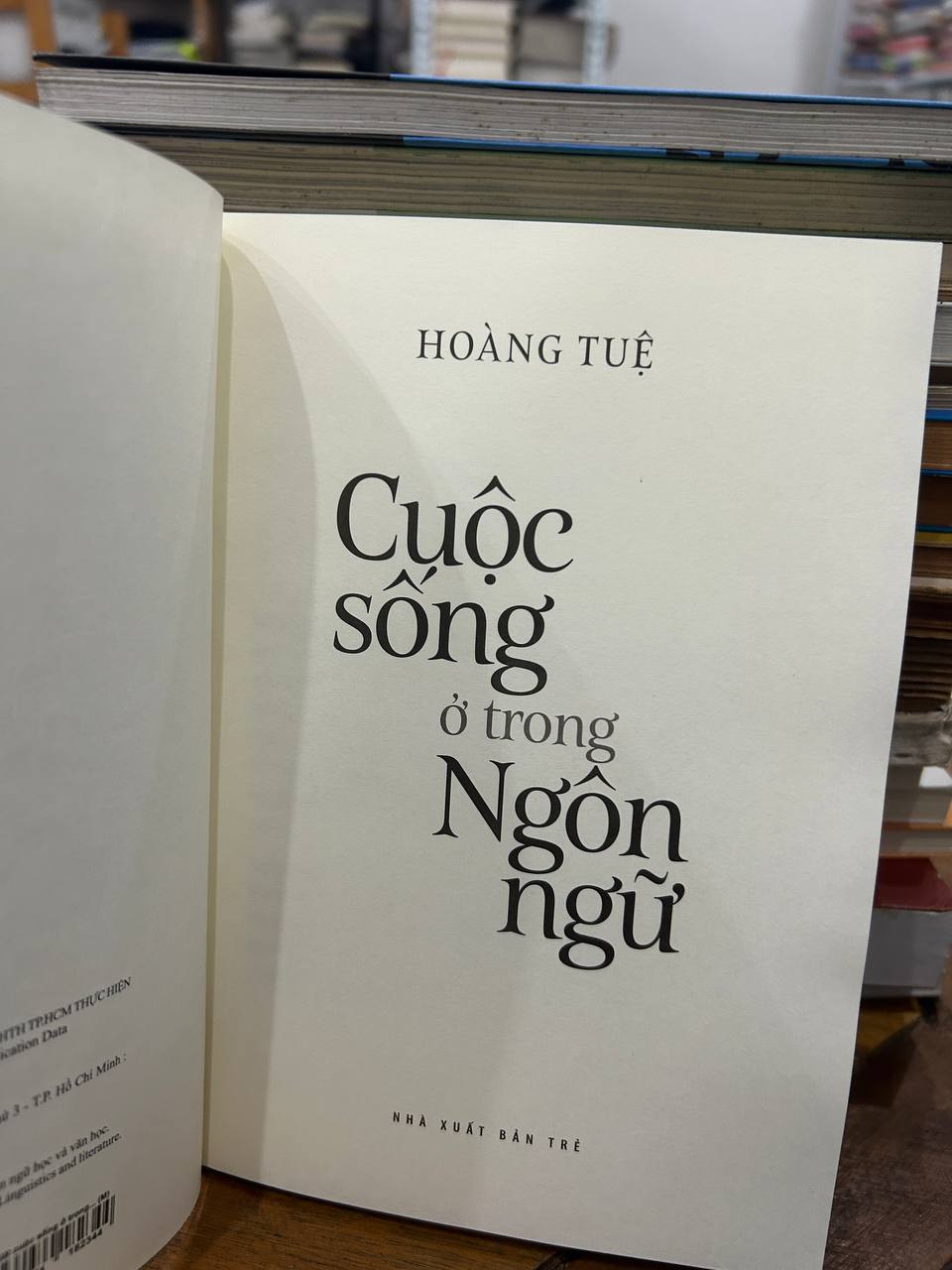 Cuộc Sống Ở Trong Ngôn Ngữ - Hoàng Tuệ