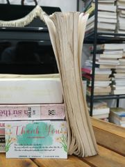 Người chỉ huy Nguyễn Chơn – Nhà xuất bản Đà Nẵng - ảnh 4